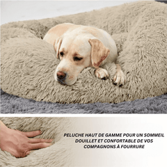 Chien confortable dans le Lit Apaisant Anti-Anxiété Quebekado, conçu pour réduire l'anxiété et améliorer le sommeil des animaux. Mousse de qualité, housse lavable, et base antidérapante pour un confort optimal.