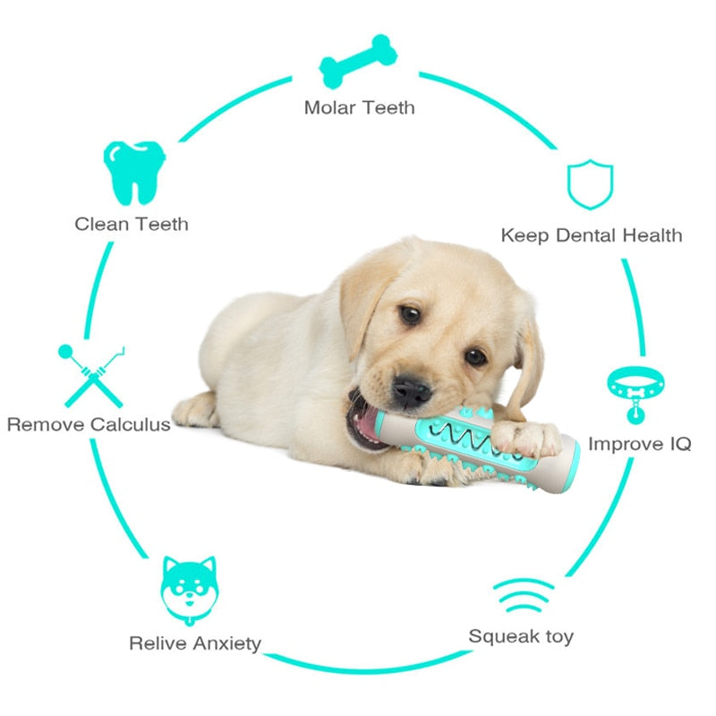 TPR Dog Dental Cleaning Toy