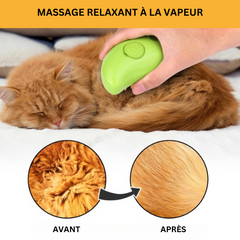 Brosse à vapeur révolutionnaire Quebekado pour chats, conçue pour un toilettage sans stress - offre nettoyage profond et massage relaxant pour un pelage soyeux et une peau propre. Idéal pour réduire la perte de poils et améliorer la circulation sanguine de votre félin, assurant un confort maximal. Compatible avec tous les animaux de compagnie, facile à utiliser et à nettoyer.