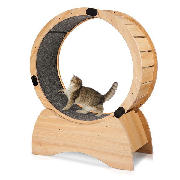 Cat Exercise Wheel - Running