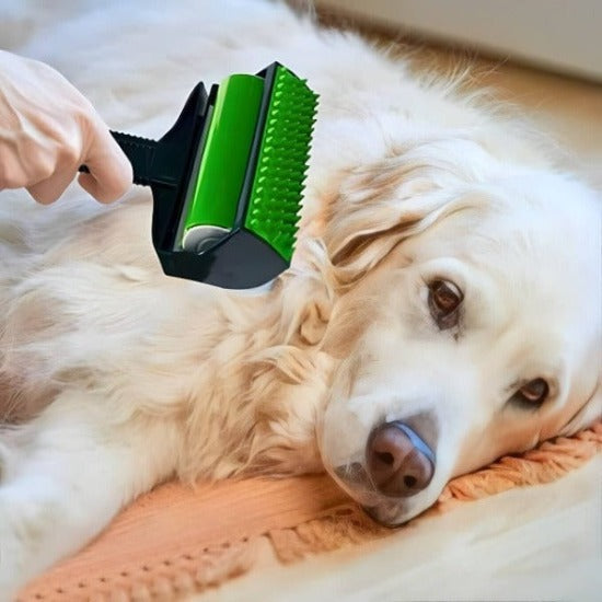 Brosse de nettoyage de poils d'animaux de compagnie, brosse simple à poils  de chien de chat, peigne de toilettage réutilisable en forme de tournesol
