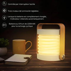 Une lampe portable 3-en-1 polyvalente, idéale pour l'éclairage personnel à la maison, en voyage ou en extérieur.