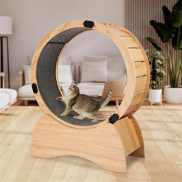 Cat Exercise Wheel - Running